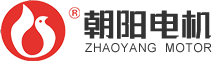 湖南朝陽電機泵業集團有限公司